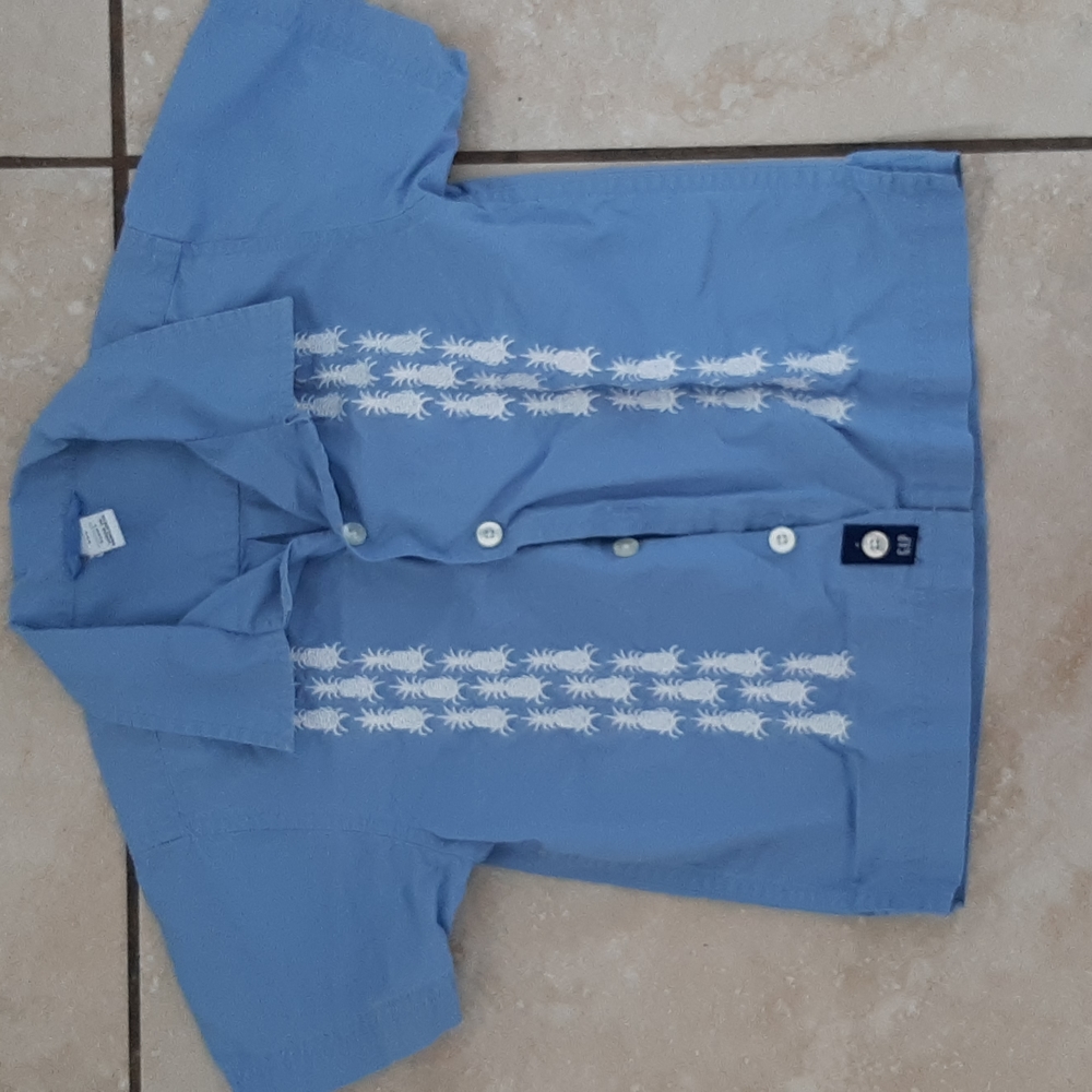 Baby Gap Blue, Pineapple Pattern Button-Down Shirt